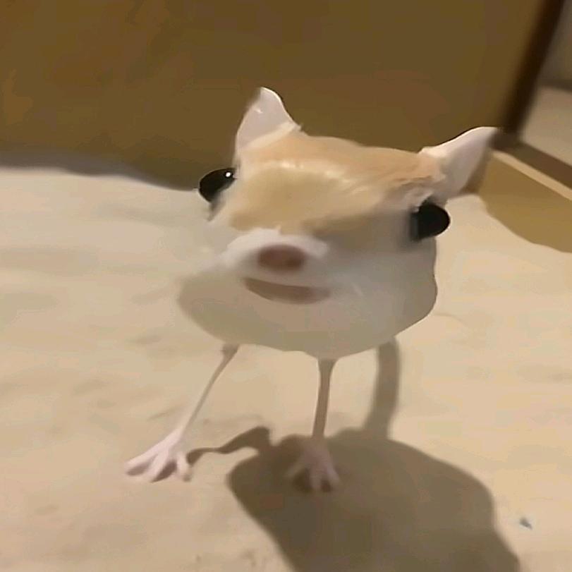 口其斤。