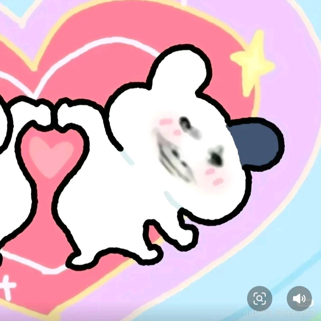 玫瑰🌹