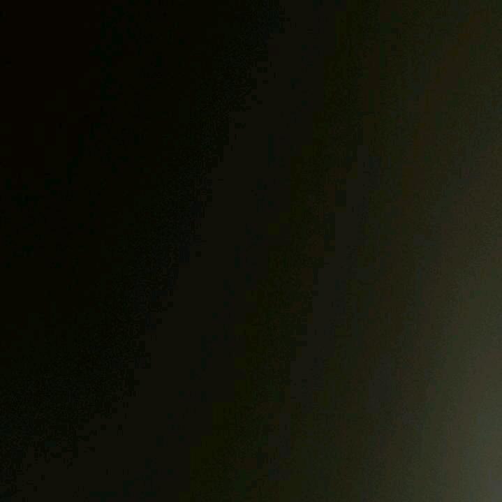 黑色🥕