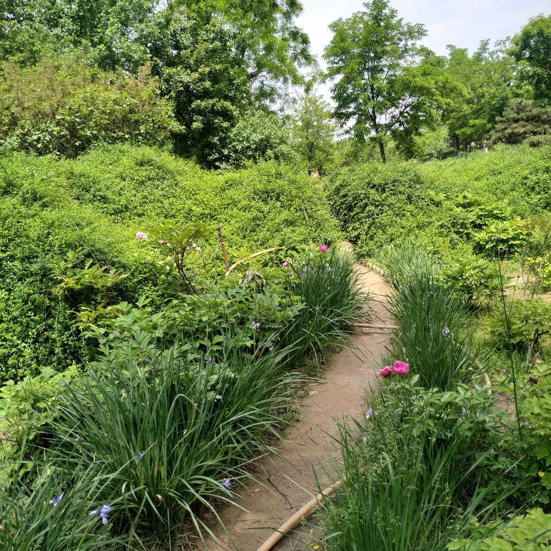 春天的春天