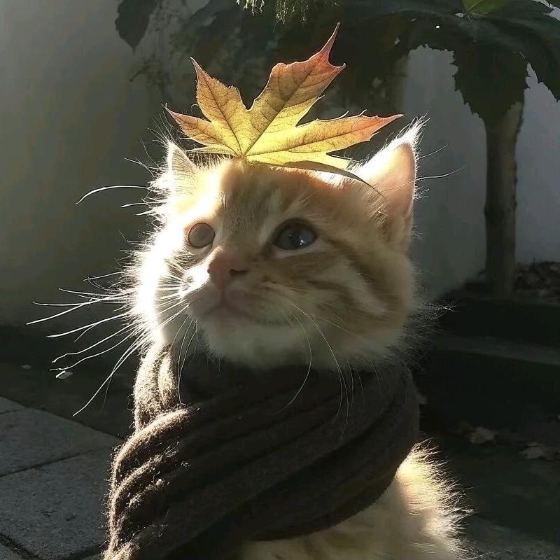 新途自此始