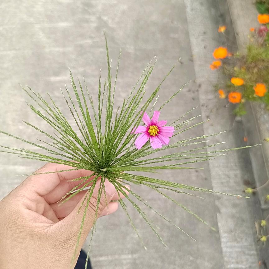 ♥~&➳每天快乐一点点