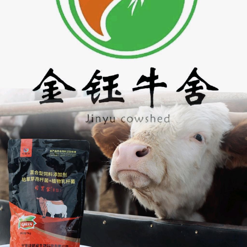 金金钰农牧