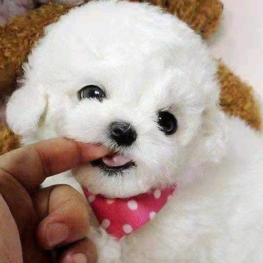 芹然小铺