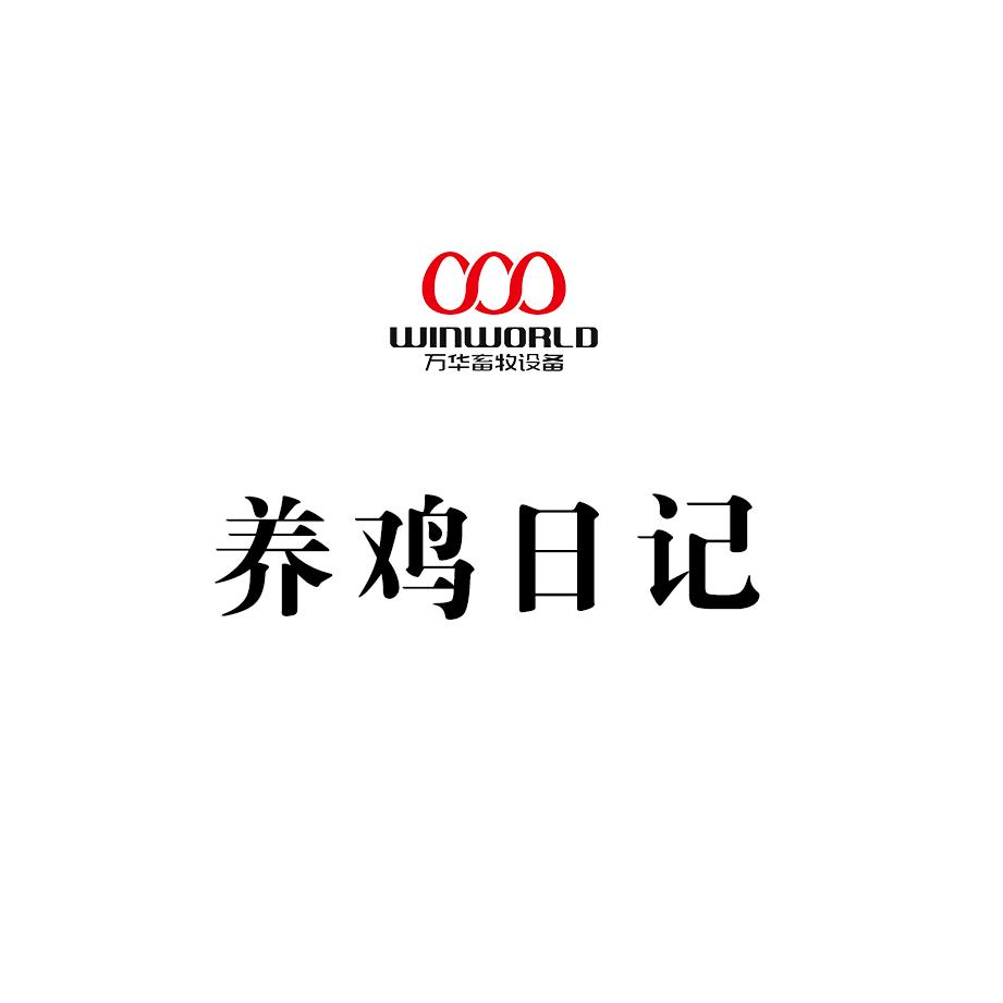 养鸡日记