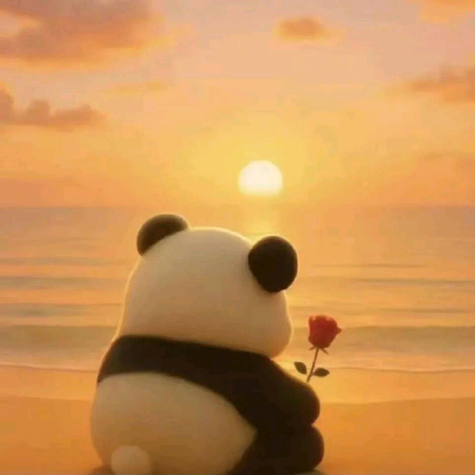 🌻兜兜有糖💞