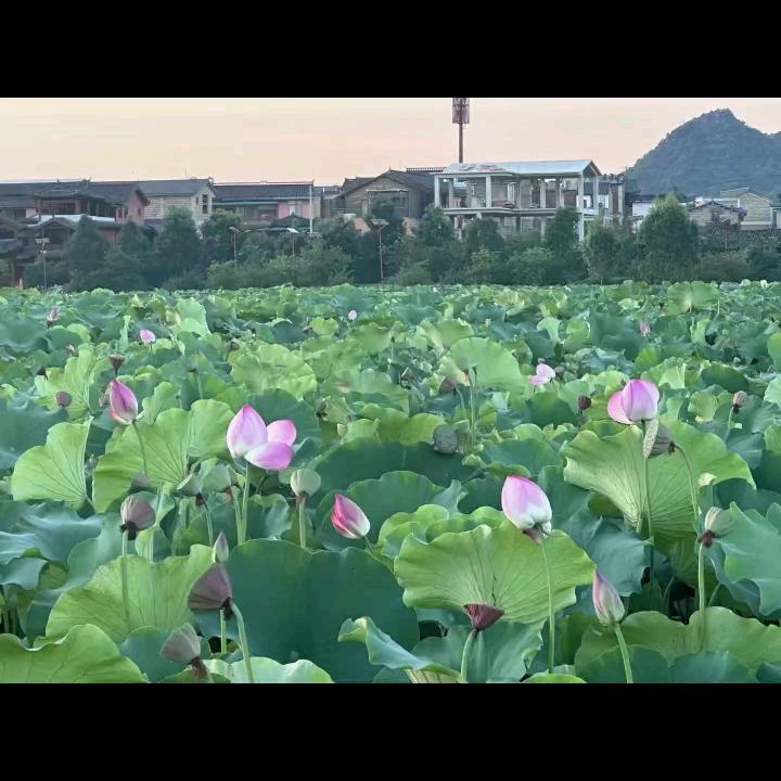 开心