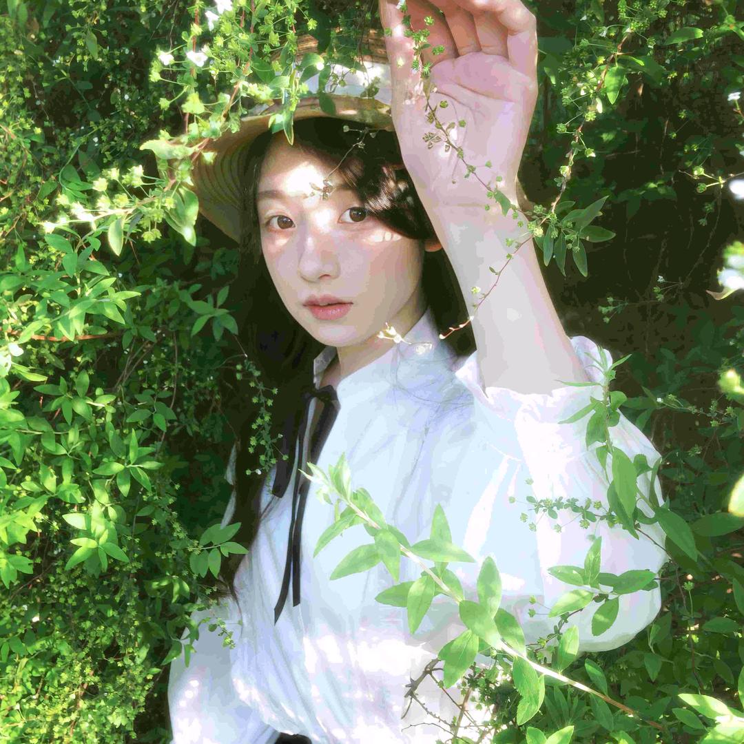 清欢逸影
