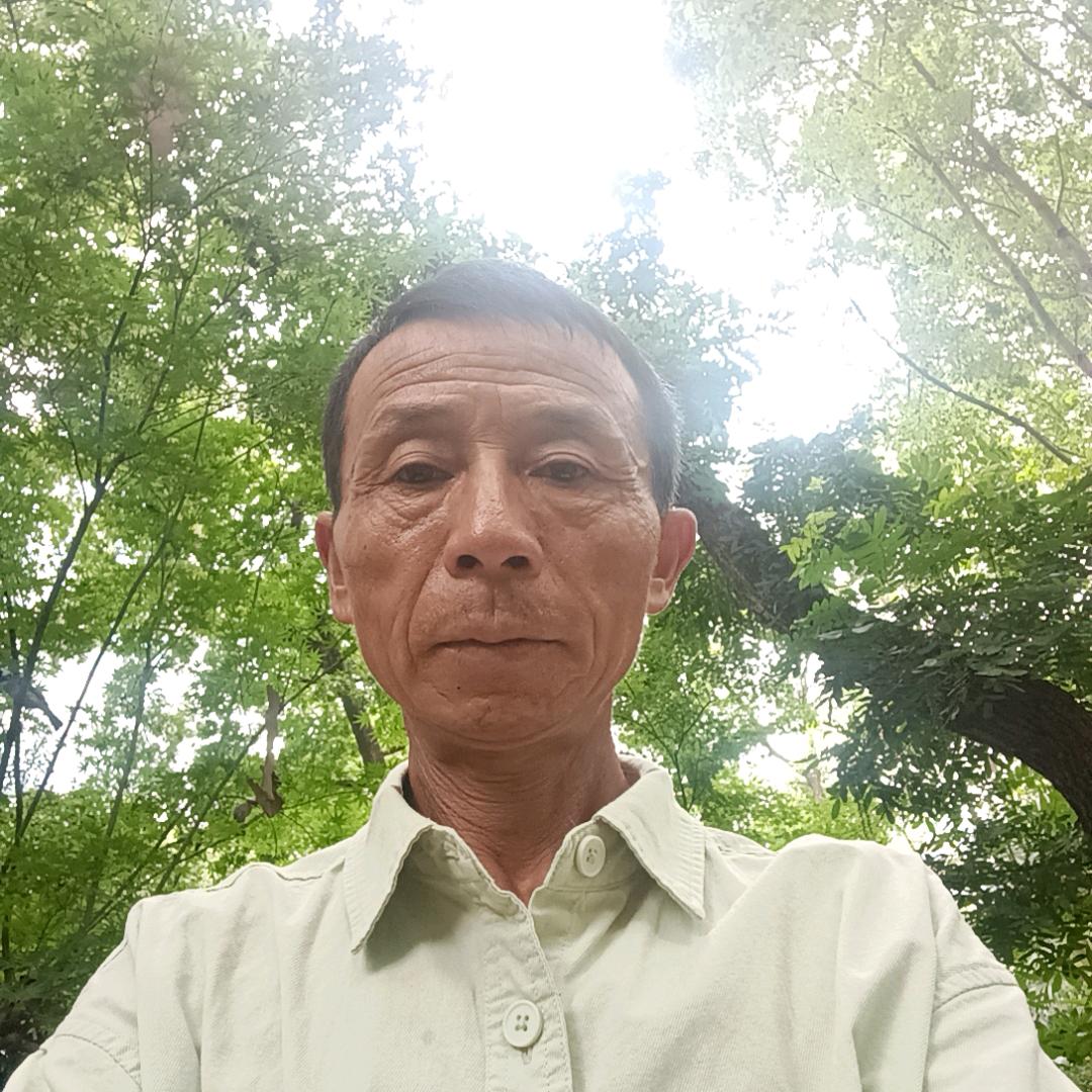 春天的花