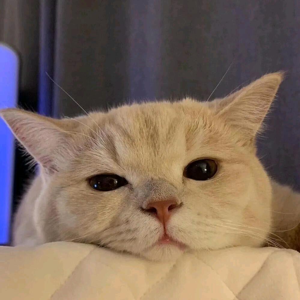 雾笙