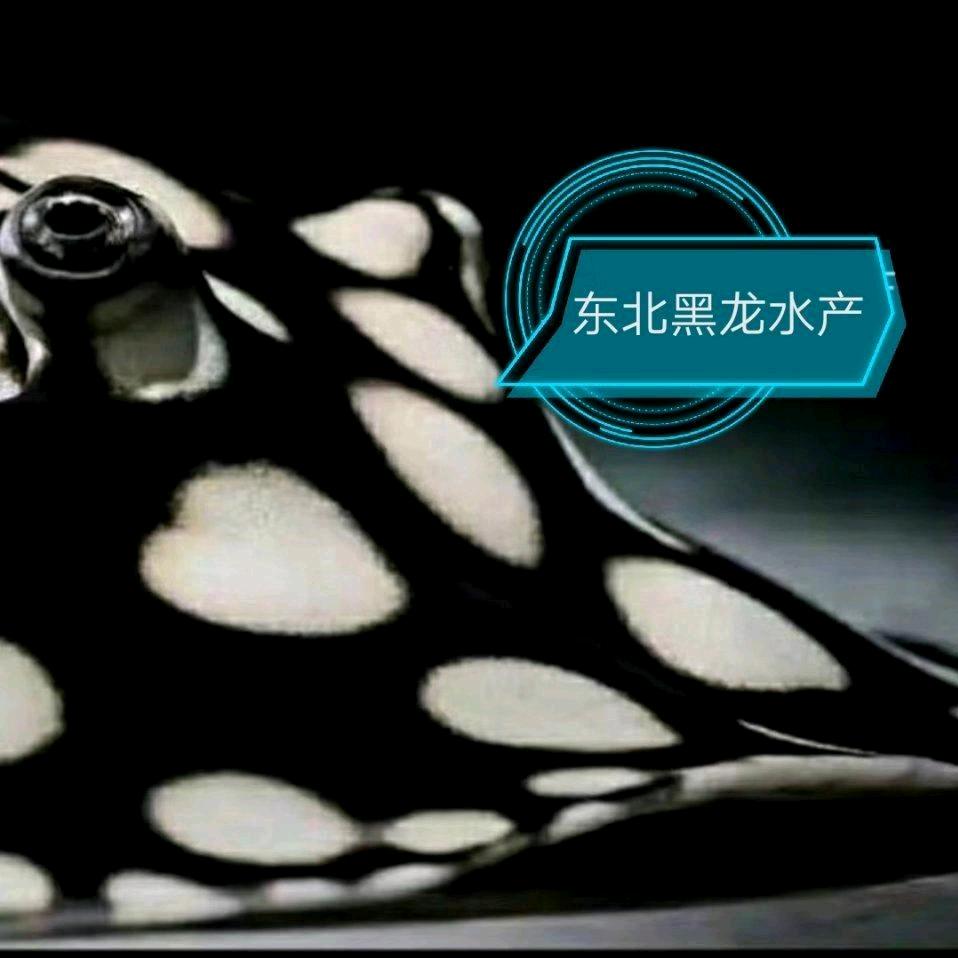 军保鱼食商店