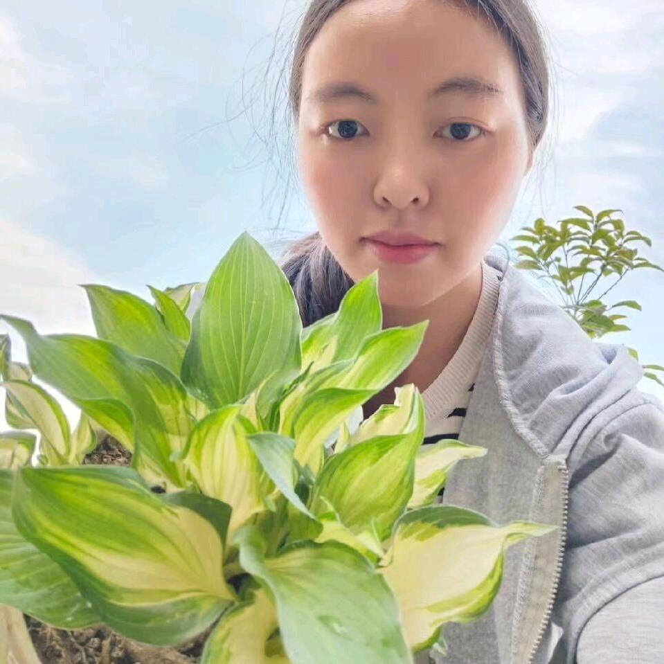 ꧁꫞错💞爱꫞꧂