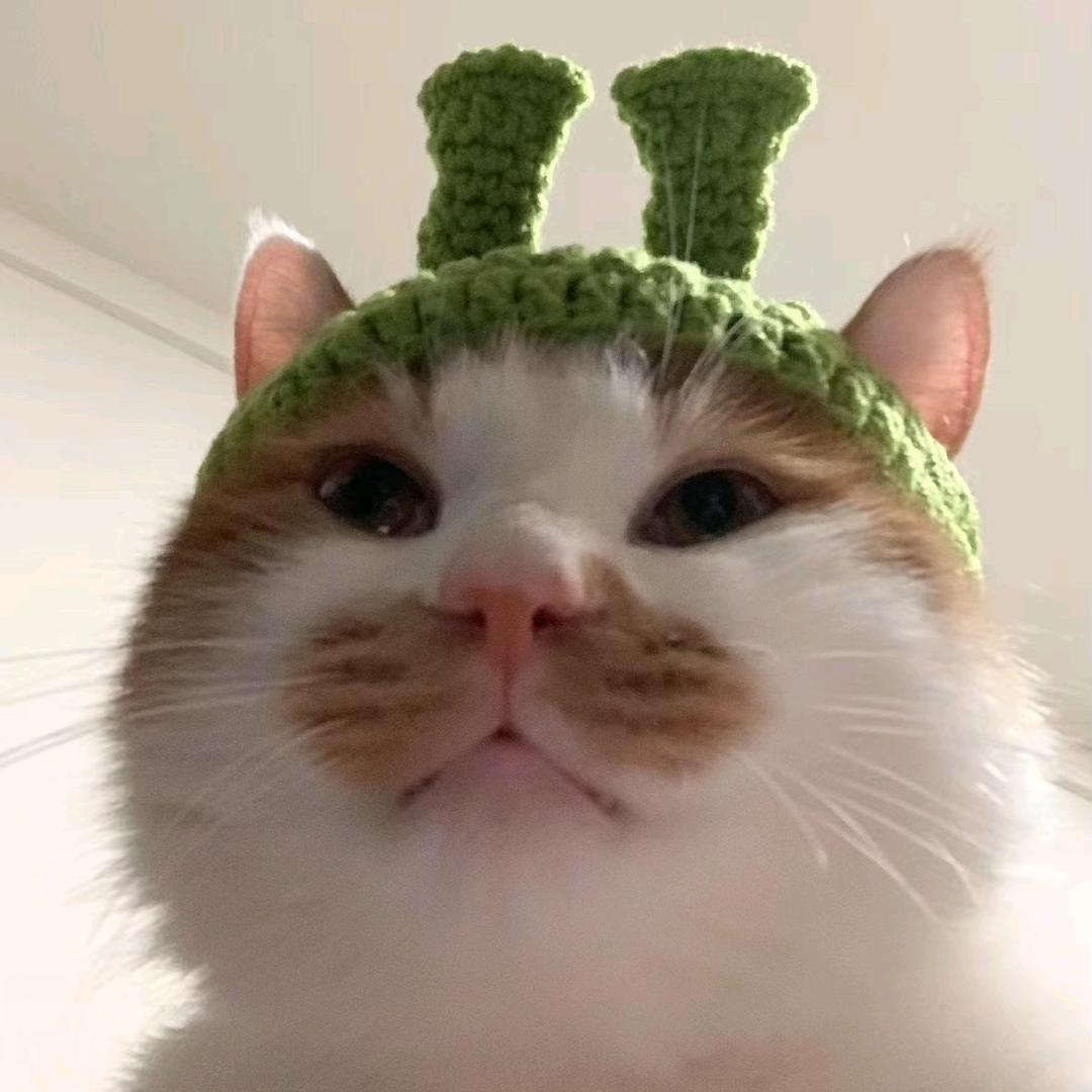 似淋