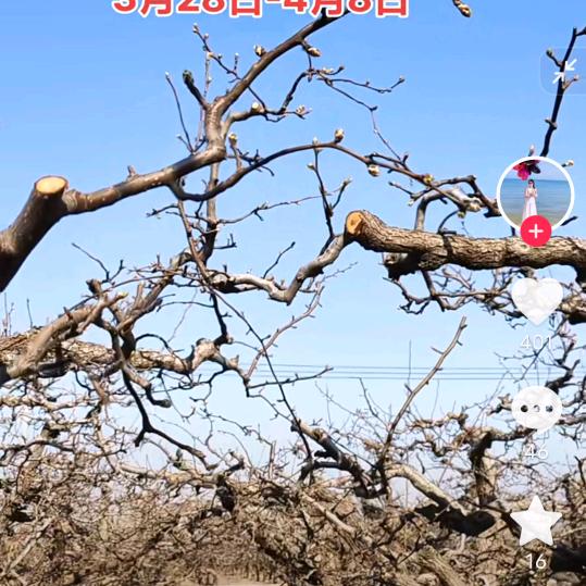 六六大顺