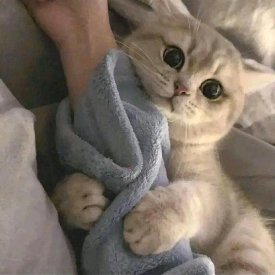 缺养