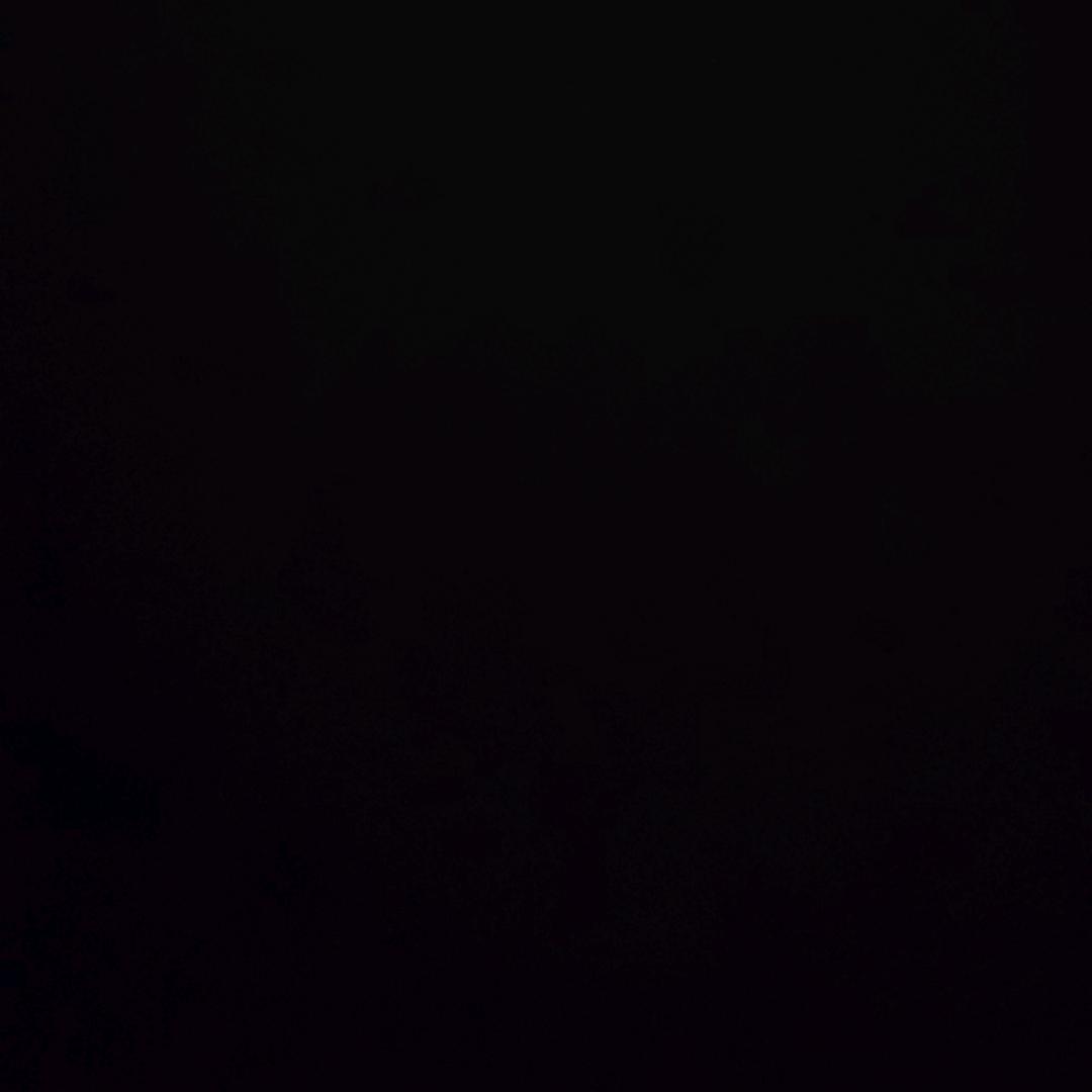 黑白的人