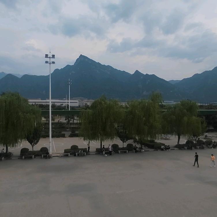 淡然的回忆