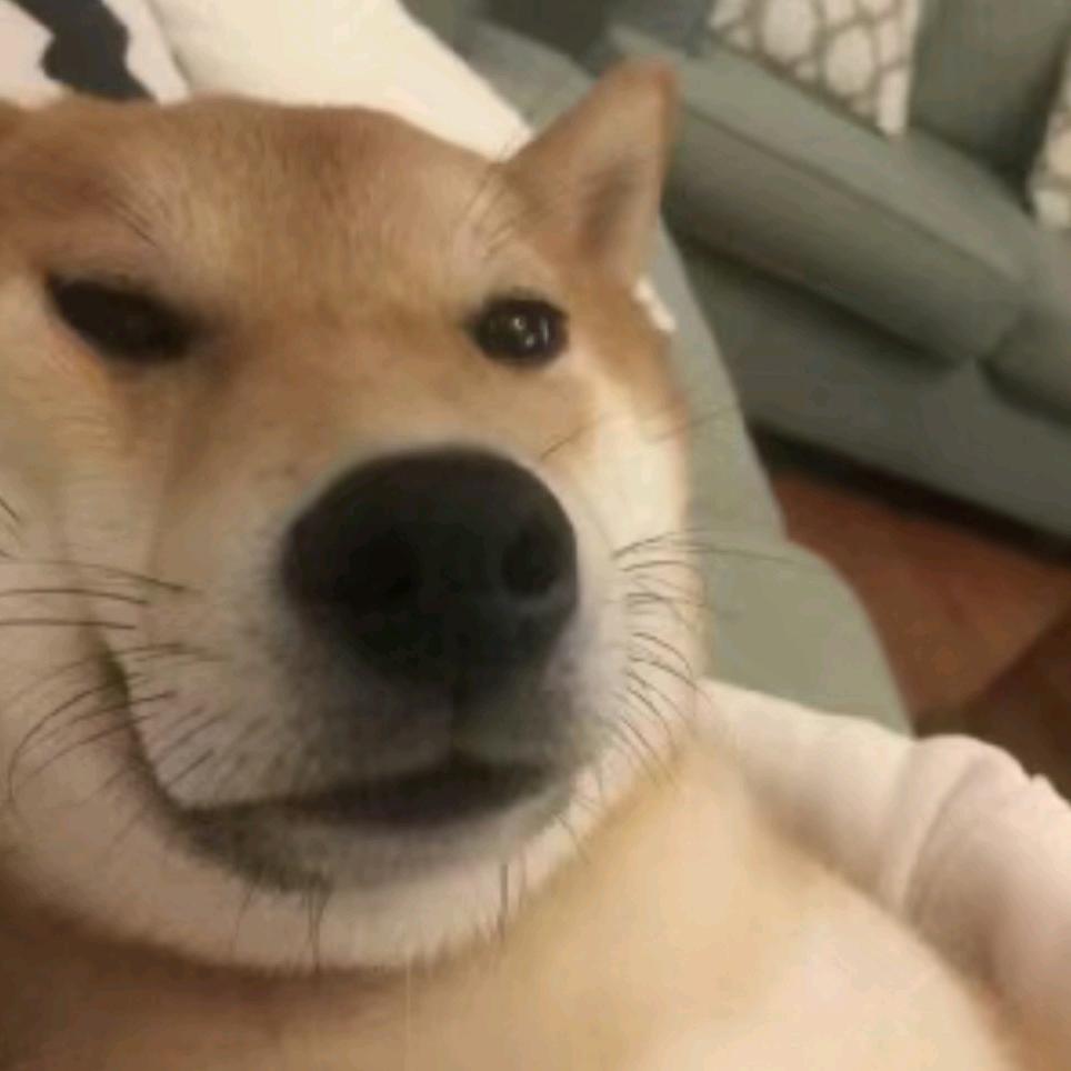 陌颜i