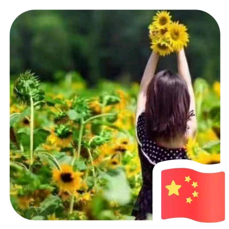 淡若轻风