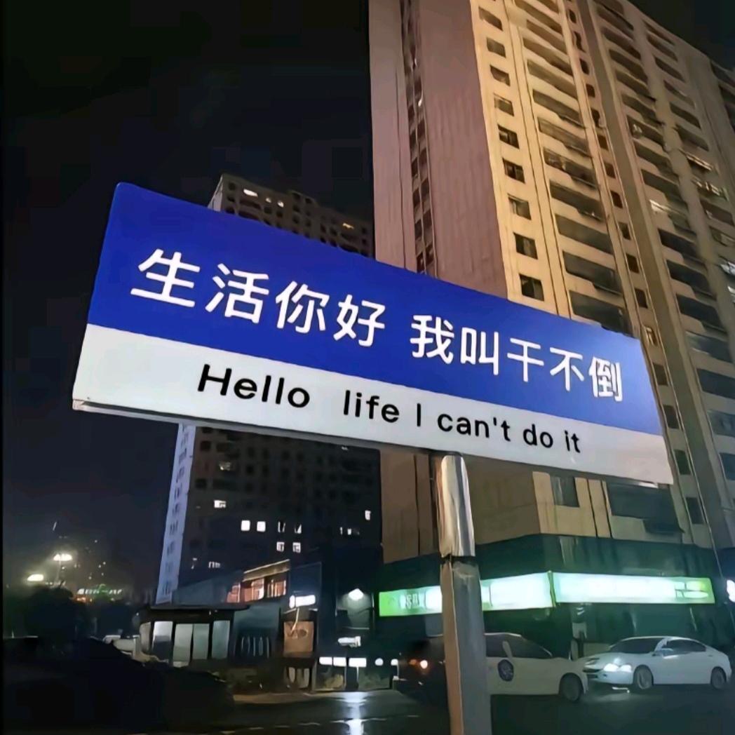 随机人生