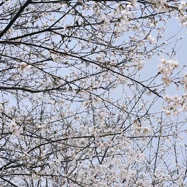 孙霞