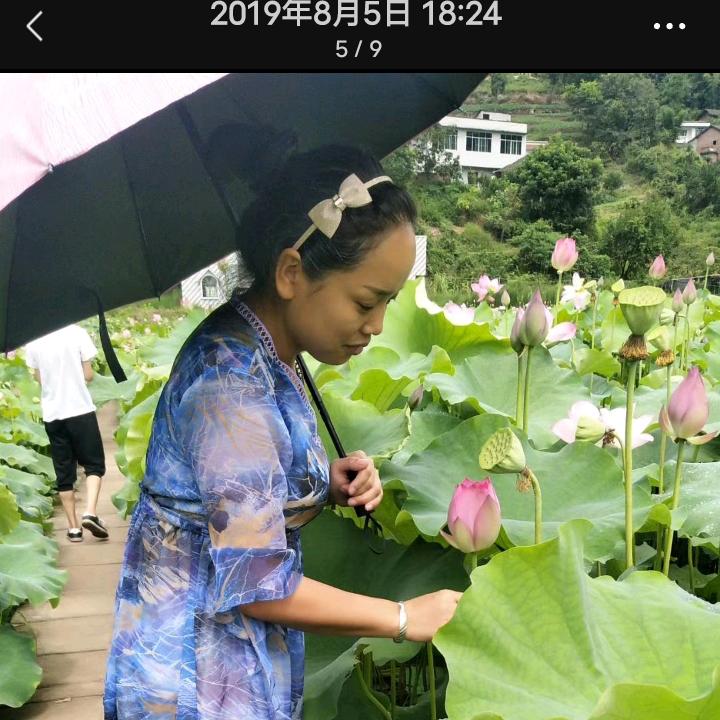 燕子