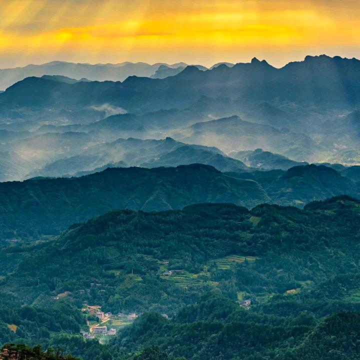 董三妹铁粉管理员