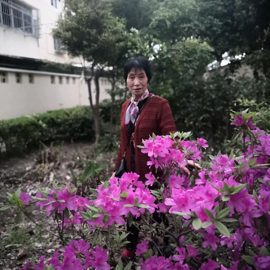 宋小妹