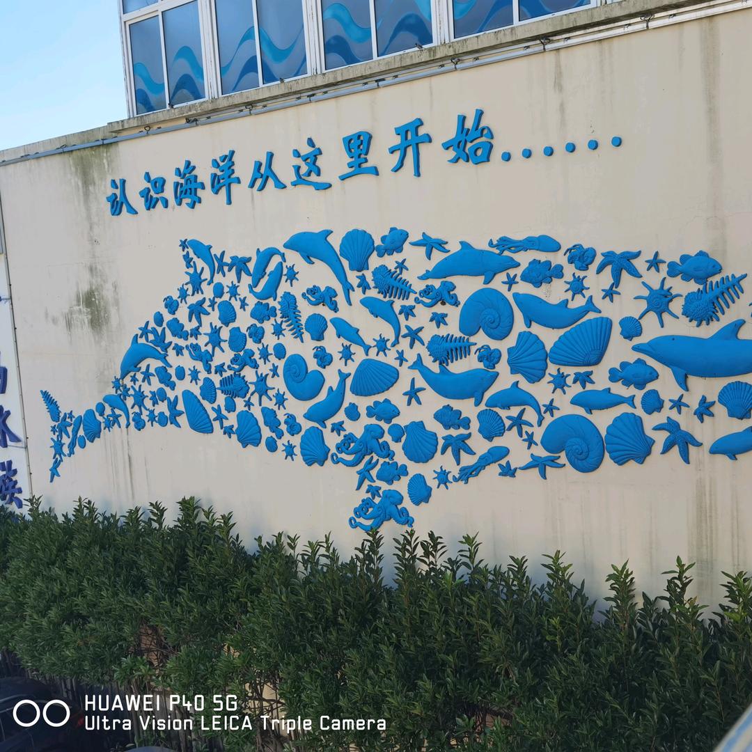 卢氏精选二手房