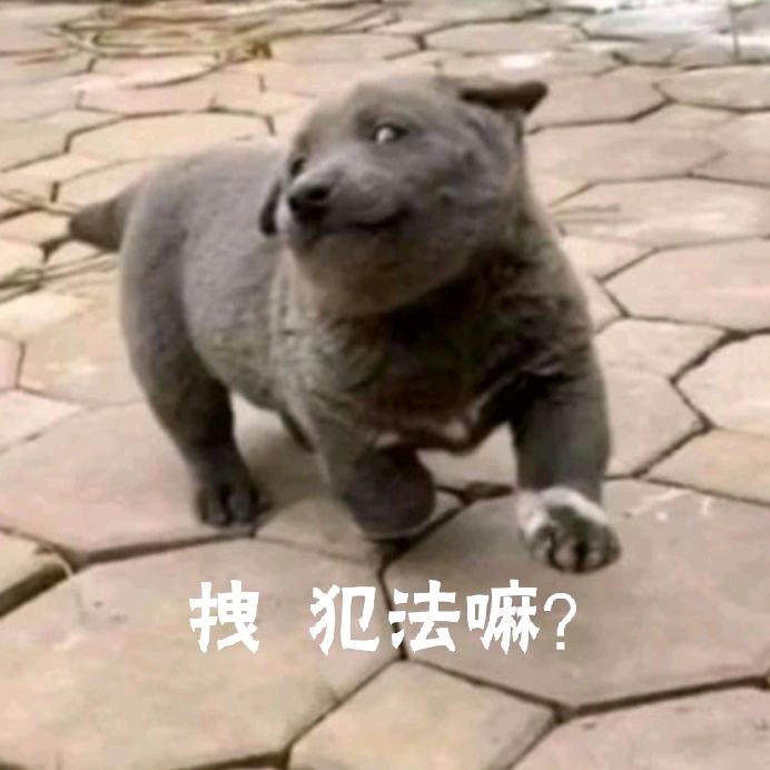 哪有鱼吃塑料啊