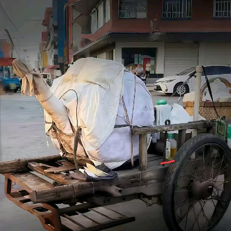 油茶大爷