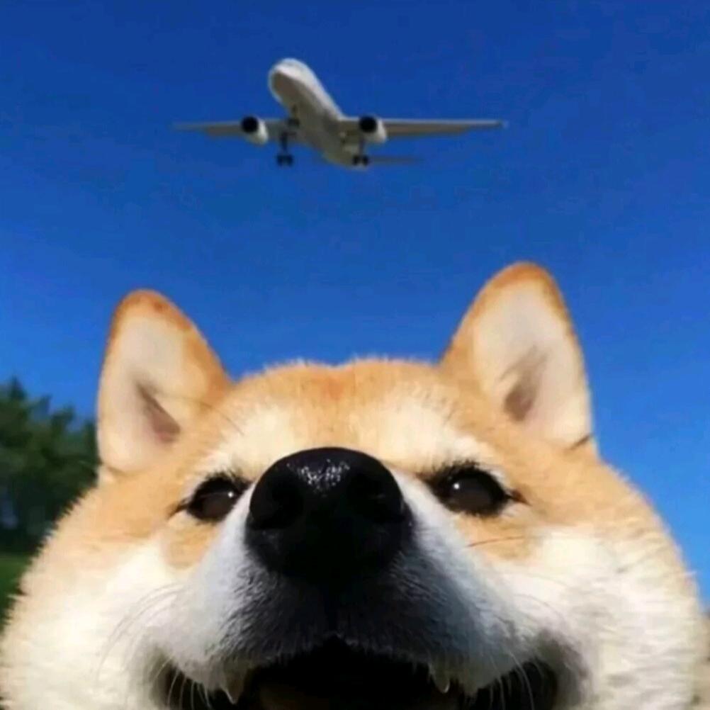 听说名字太长会被妈妈打