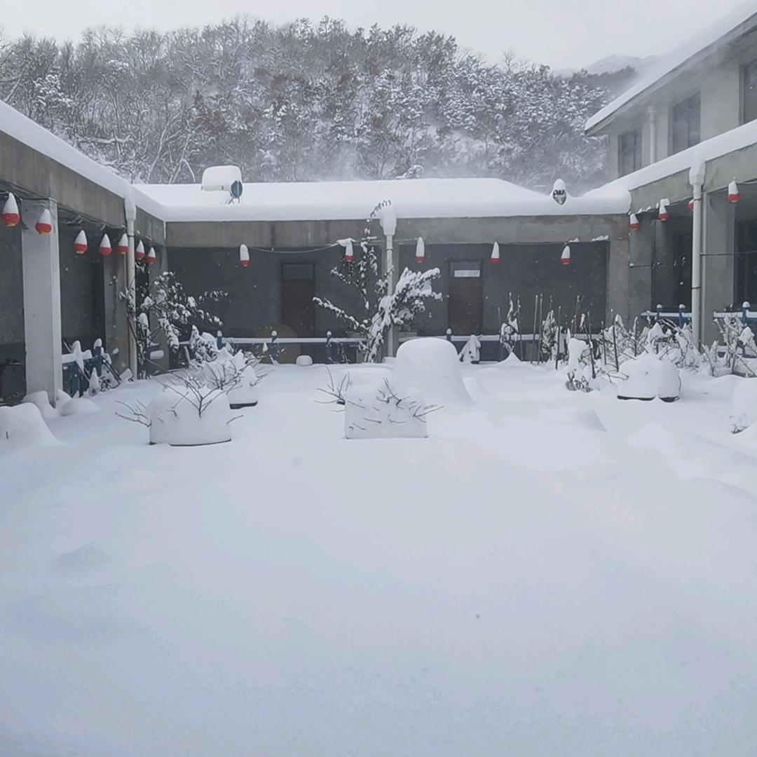 找个搭子