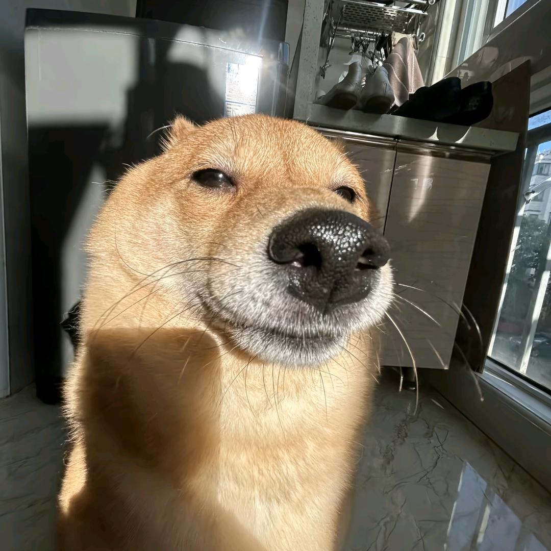 吴🐟