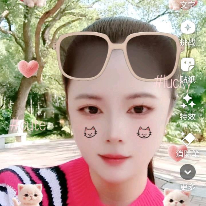 星陈 13:50