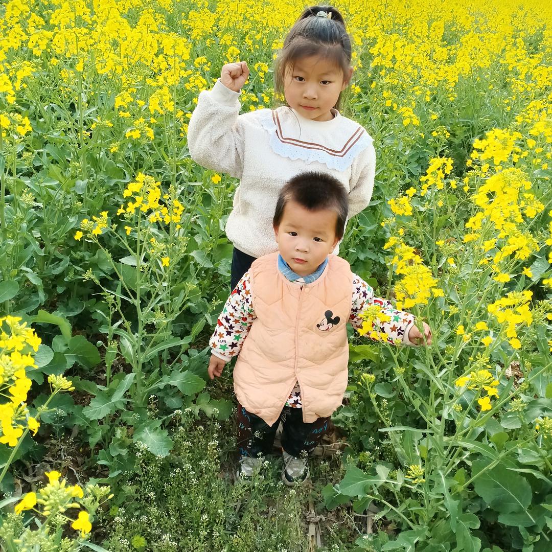 美酒天天旺代理商