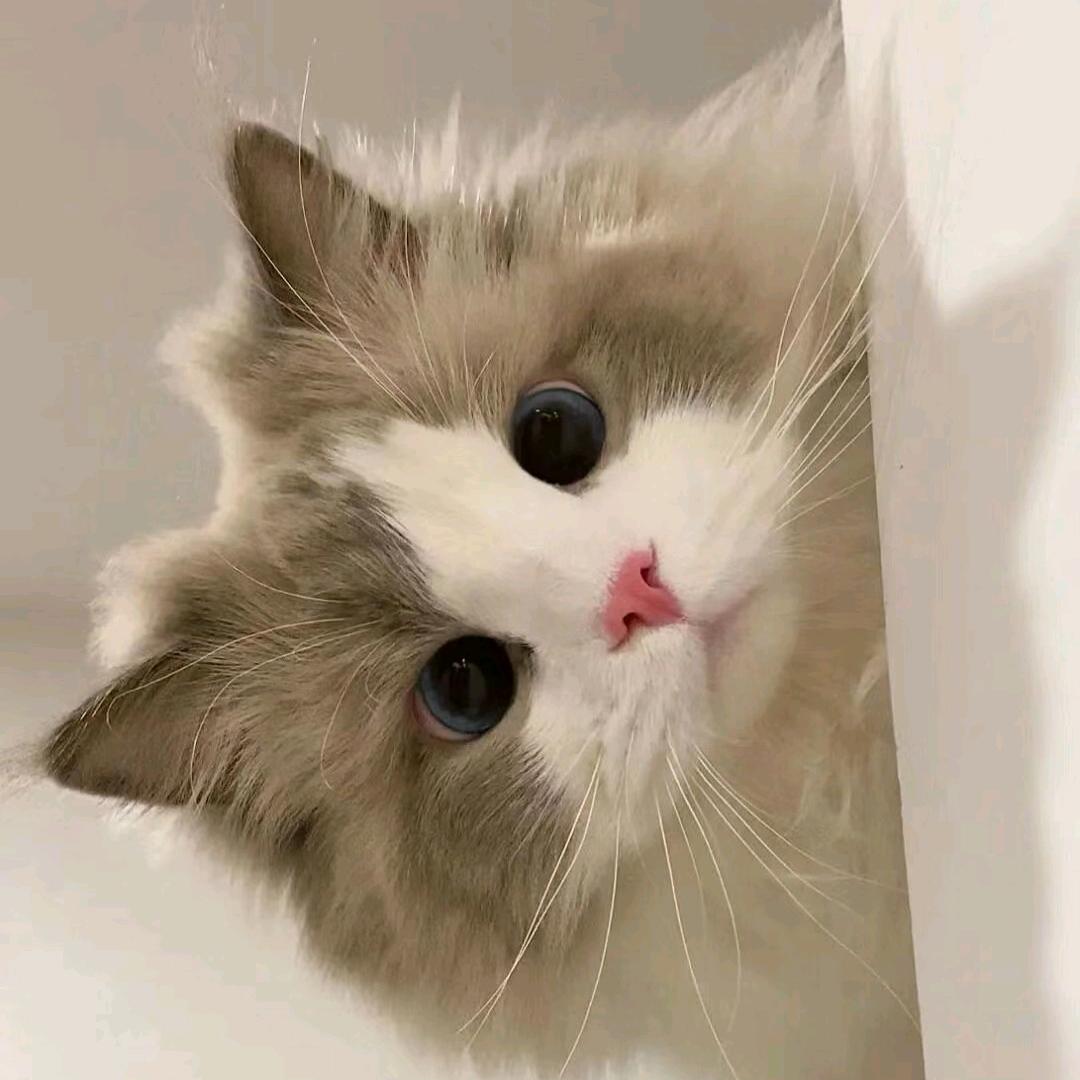 我炸了