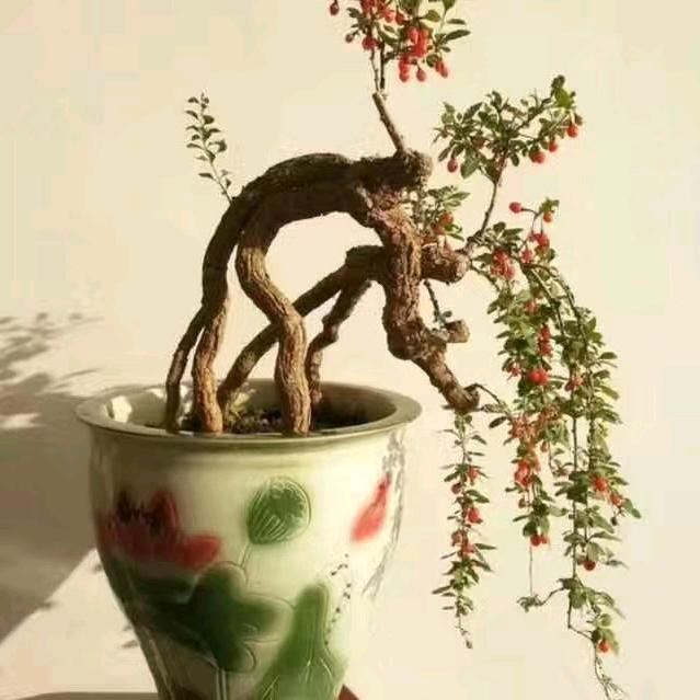 一生有你