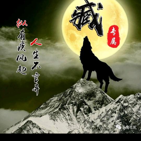 啊周