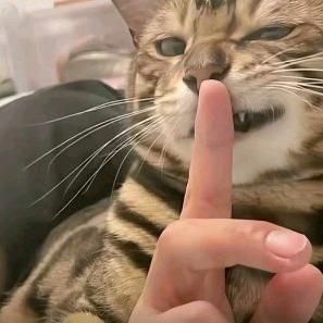 阿莀