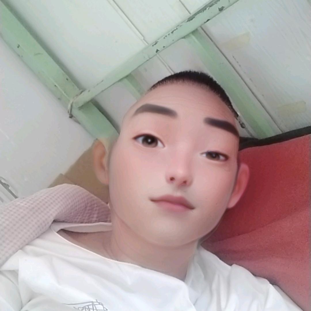 飞鹰