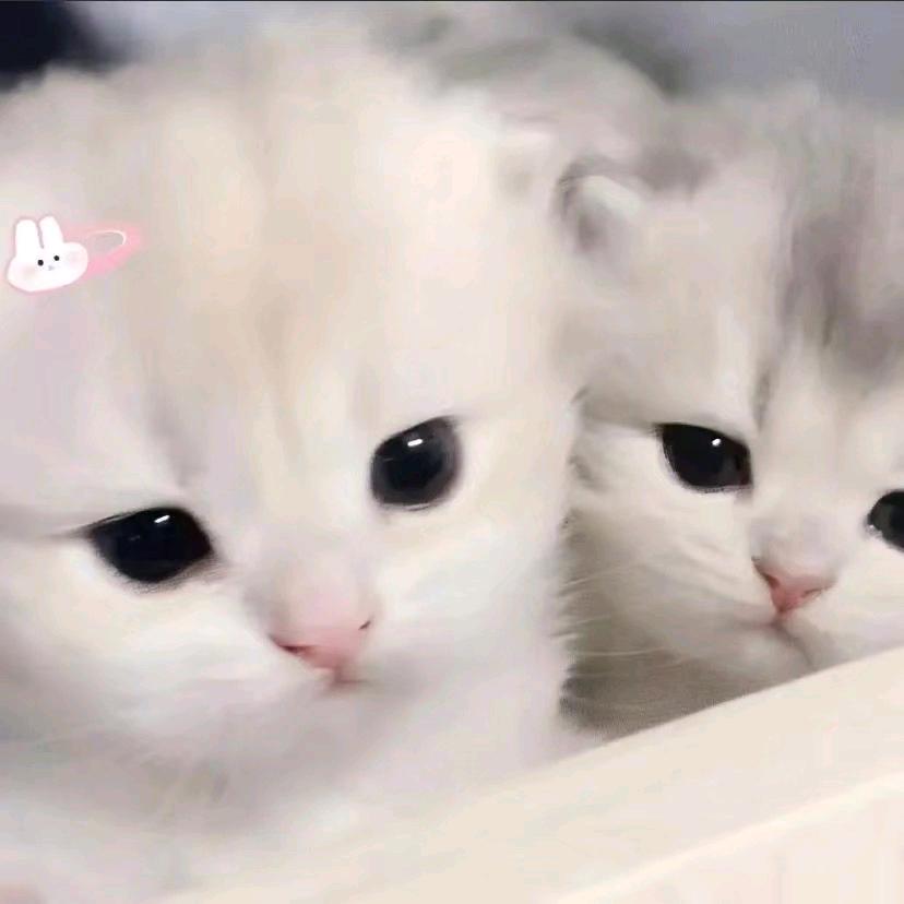 葫芦上的葫芦岛