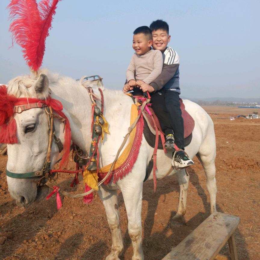 ╭(╯一生有李╰)╮