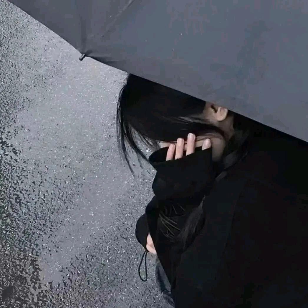 张章