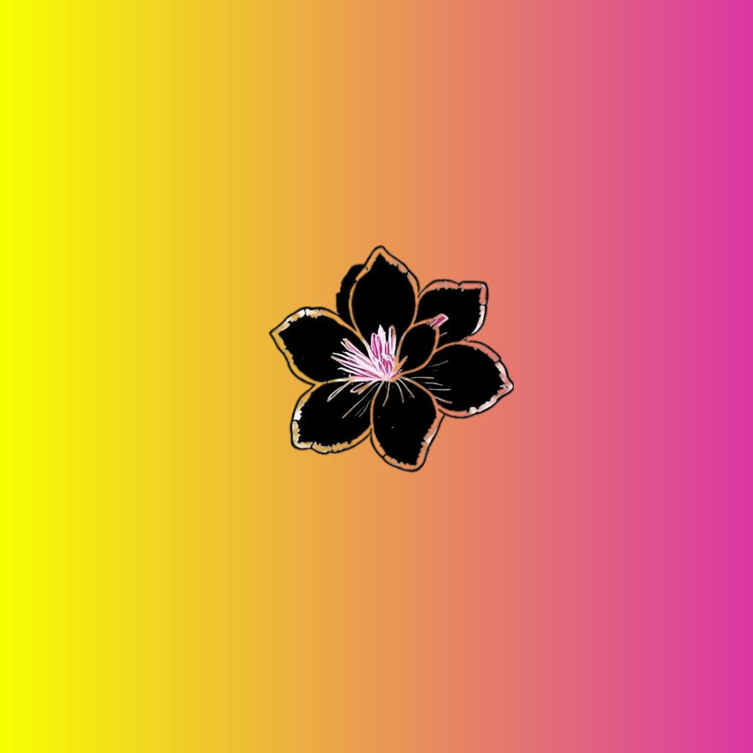 「空山烬语」