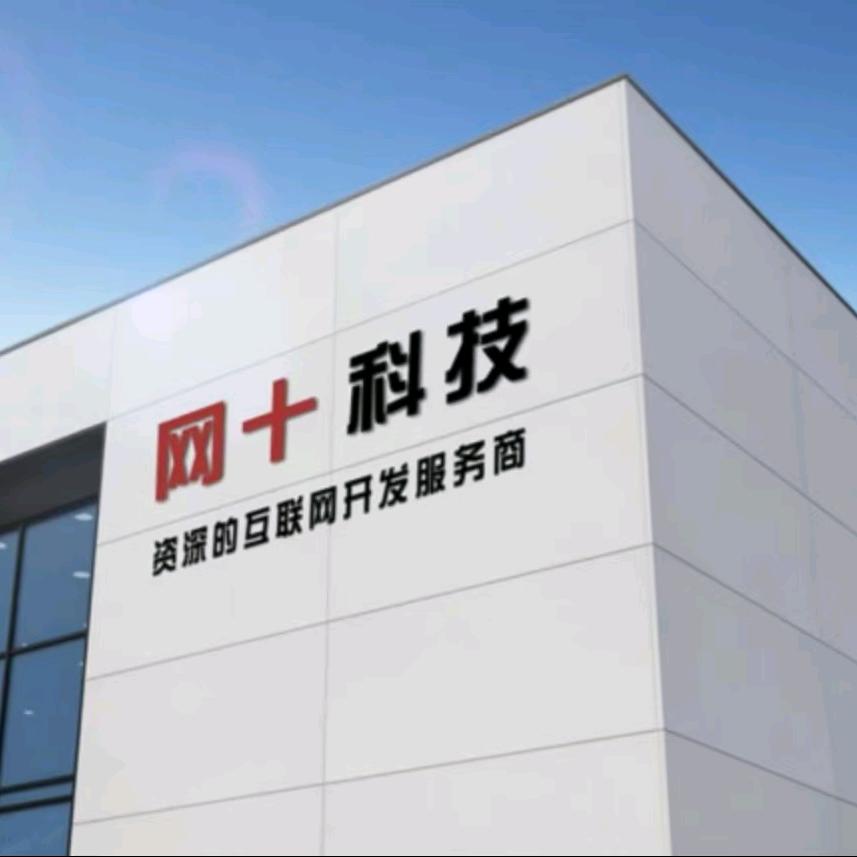 网十 小程序/网站/软件/App 开发