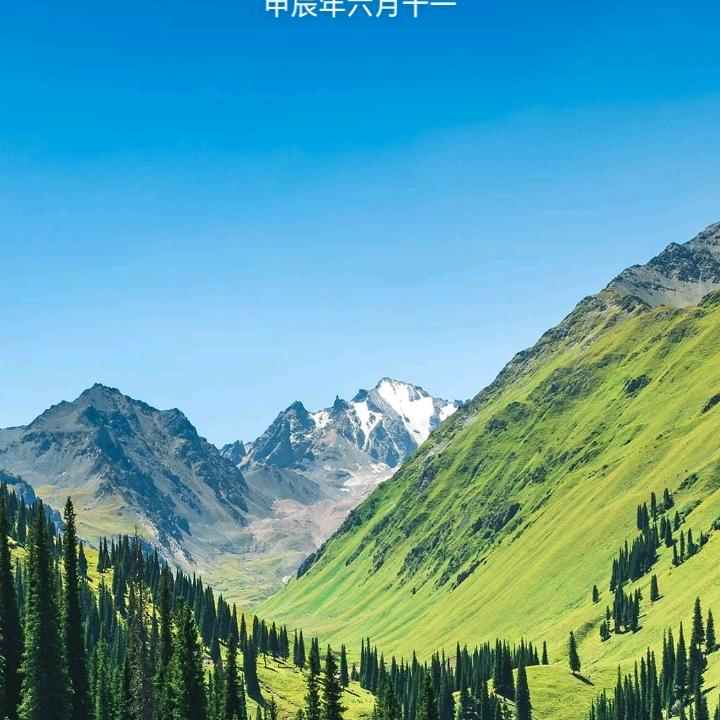 牛气冲天
