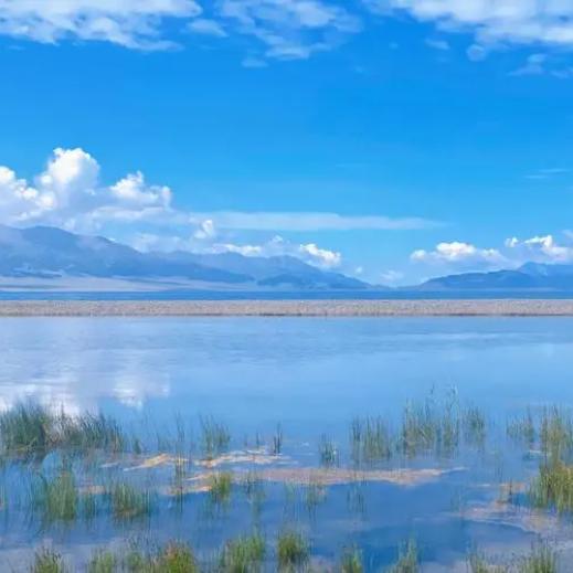 跑起来肚子小起来