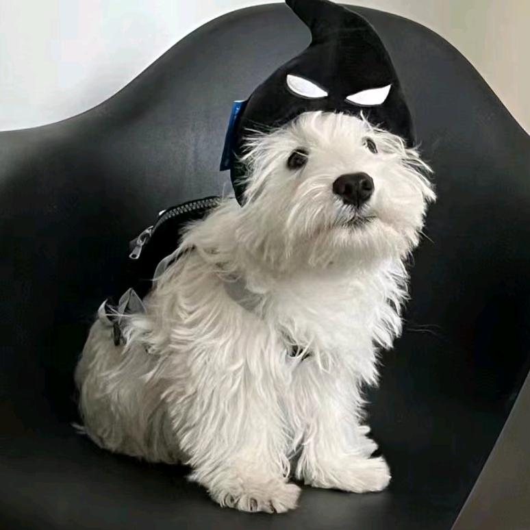 小兔宇航员
