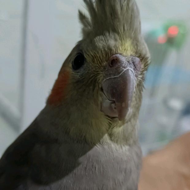 唁